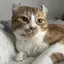 mのプロフィール画像