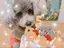 あゆみゆのプロフィール画像
