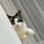 Xitingのプロフィール画像