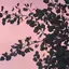 ©︎のプロフィール画像