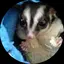 RIEのプロフィール画像