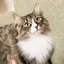tamaのプロフィール画像