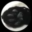 敏一のプロフィール画像