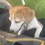 ゆんのプロフィール画像