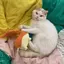 かなのプロフィール画像
