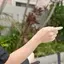 kiraのプロフィール画像