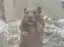 いつきのプロフィール画像