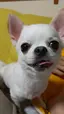 Rのプロフィール画像