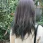 かえなのプロフィール画像