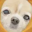 りらのプロフィール画像