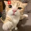 智香のプロフィール画像