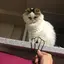 ごまのプロフィール画像