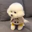 maのプロフィール画像