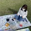 おにぎりのプロフィール画像