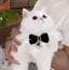 ススのプロフィール画像