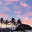 I miss Hawaiiのプロフィール画像