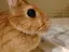 mikiのプロフィール画像