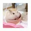 あのプロフィール画像