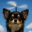 めいのプロフィール画像