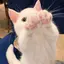 みのプロフィール画像