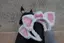 ものプロフィール画像