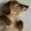 まさよしのプロフィール画像