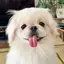 後藤のプロフィール画像