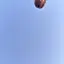 つのプロフィール画像