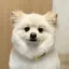 ぬまけいのプロフィール画像