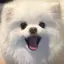 りののプロフィール画像