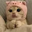 ねねのプロフィール画像