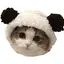みのプロフィール画像