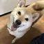 ワコのプロフィール画像