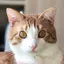 keiのプロフィール画像