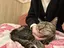 ももかのプロフィール画像