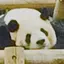 友のプロフィール画像