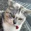 麻椰のプロフィール画像