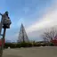mayukoのプロフィール画像