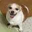 rinchanのプロフィール画像