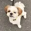 なつみのプロフィール画像