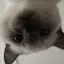 ゆめちのプロフィール画像