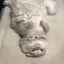 のぞみのプロフィール画像