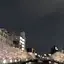 ここてぁのプロフィール画像