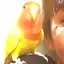 えるなのプロフィール画像