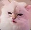 ゆなのプロフィール画像