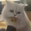 りのプロフィール画像
