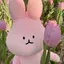 Diannnnnnのプロフィール画像