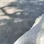 ウセイのプロフィール画像