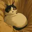 Nagiのプロフィール画像