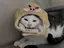 中村のプロフィール画像